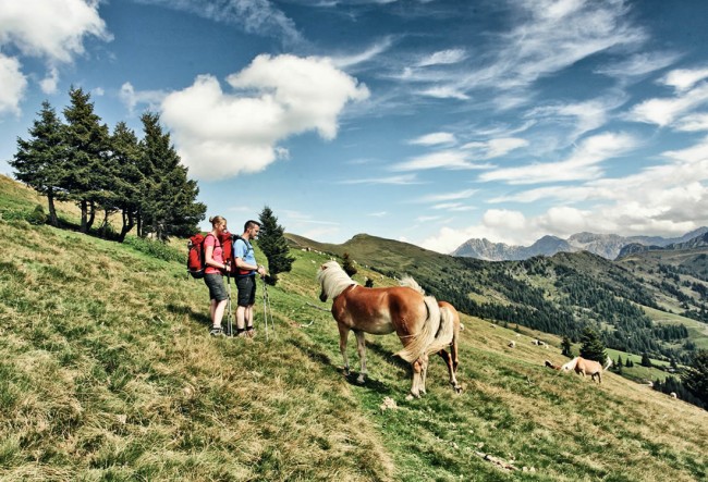 Wanderurlaub im Großarltal © www.grossarltal.info